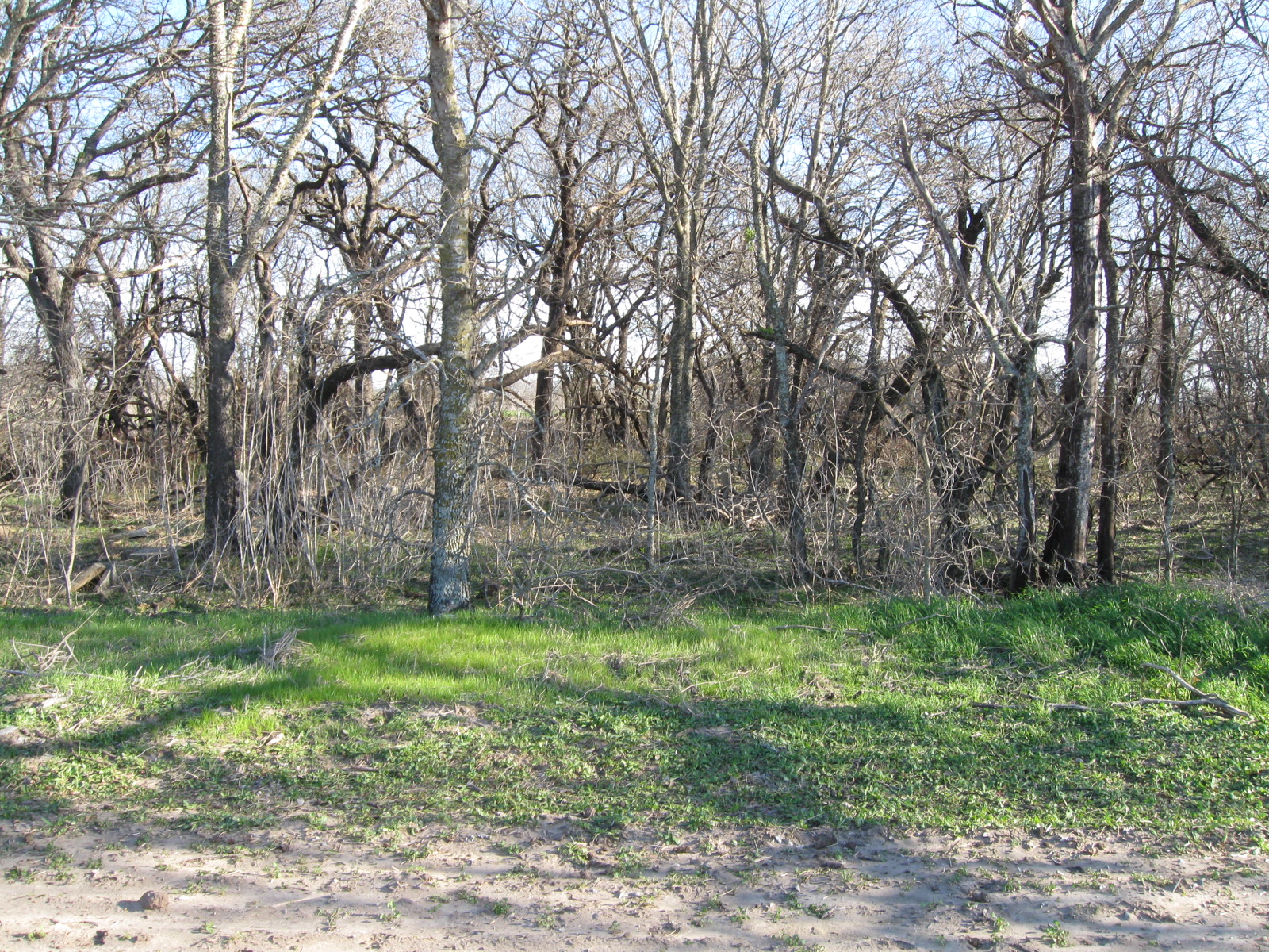 Tarver Cemetery, Falls County, Texas